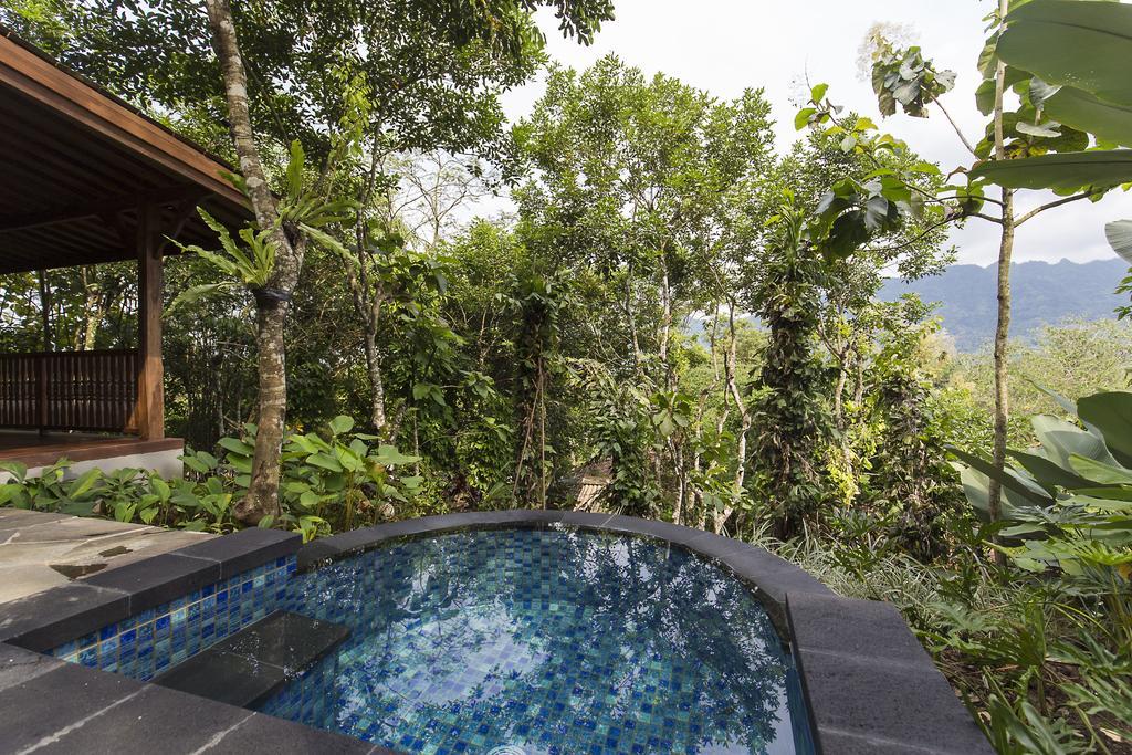 Vila Garden Plunge Pool